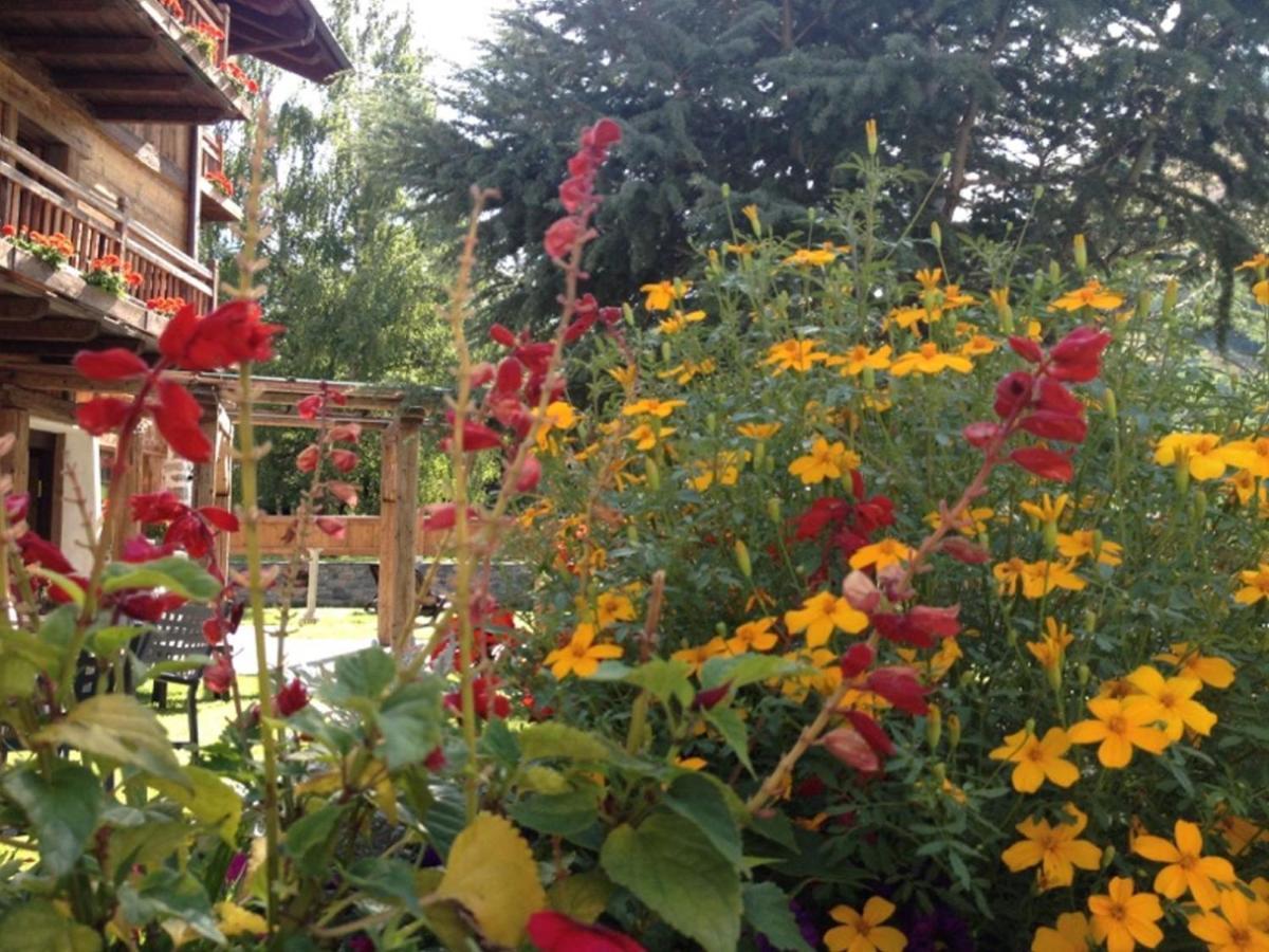 Relais Du Chateau Blanc 拉蒂勒 外观 照片